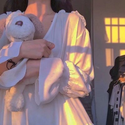 加菲猫2